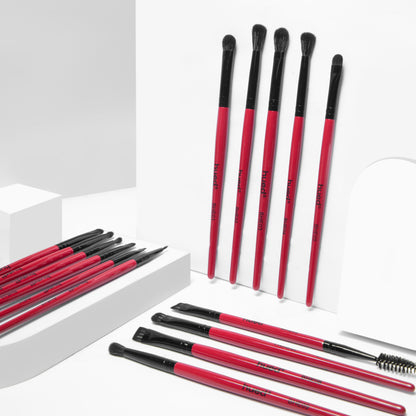 Premium 25-piece Hued Collection brush kit from Beautilicious with stylish Onyx Glam storage book