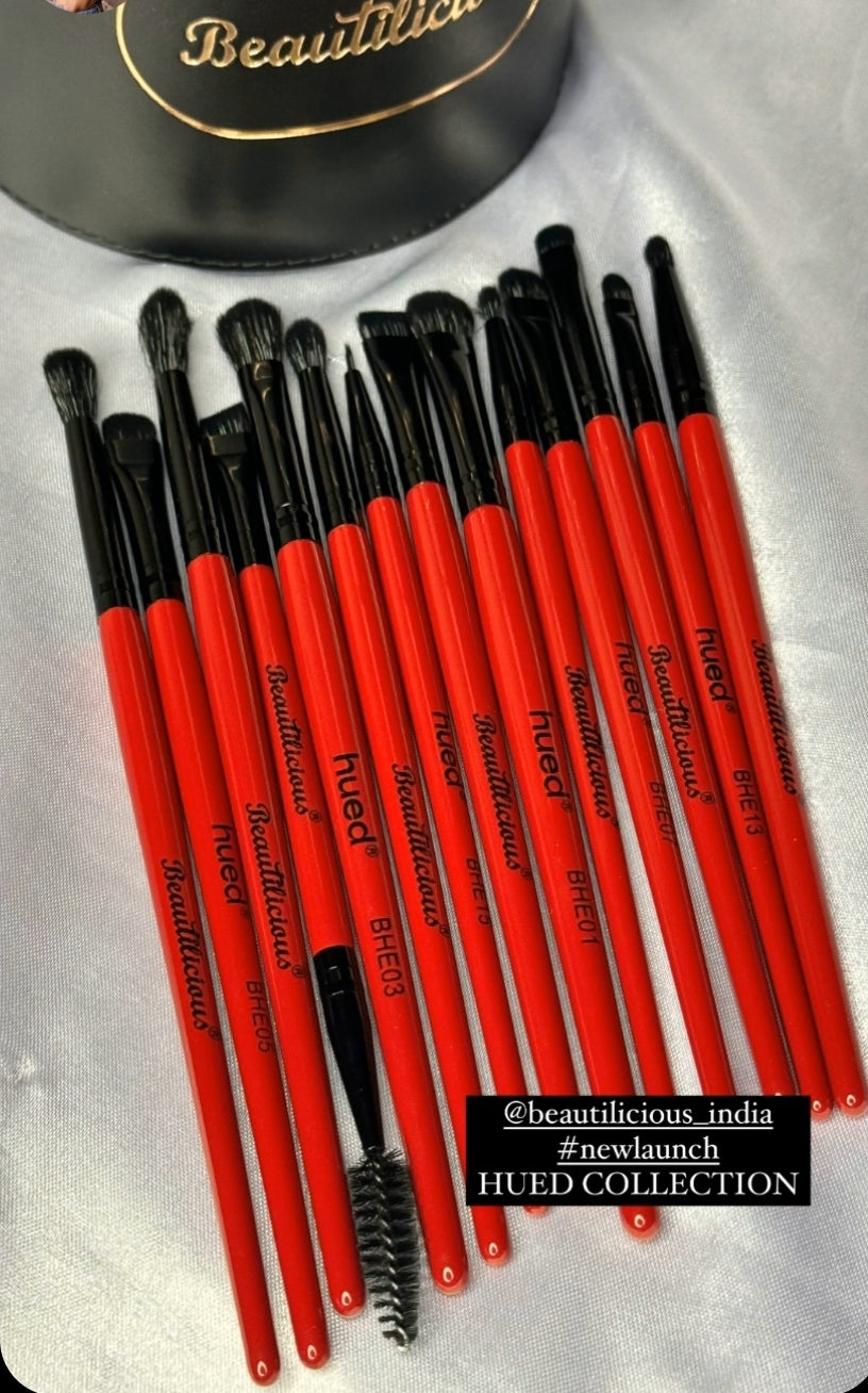 Hued Collection Brush Kit (25 Pcs.) +  Free Onyx Glam Brush book (Brush folder)