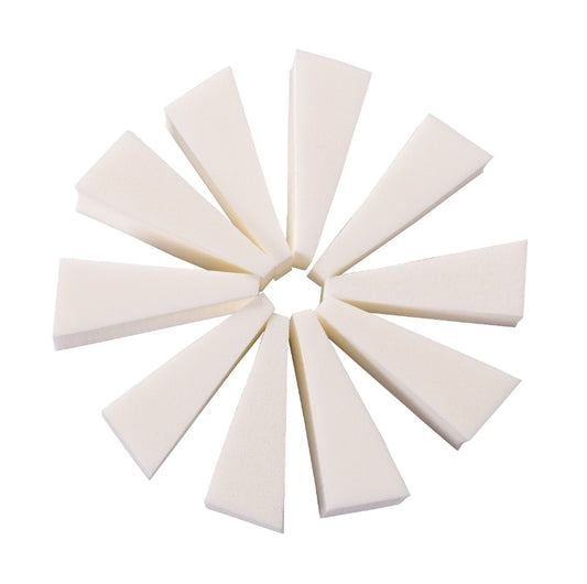 10 Pc Porfessional Makeup Wedges