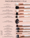 11 PIECE FACE BRUSH SET