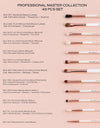PROFESSIONAL MASTER COLLECTION (43 PCS SET)