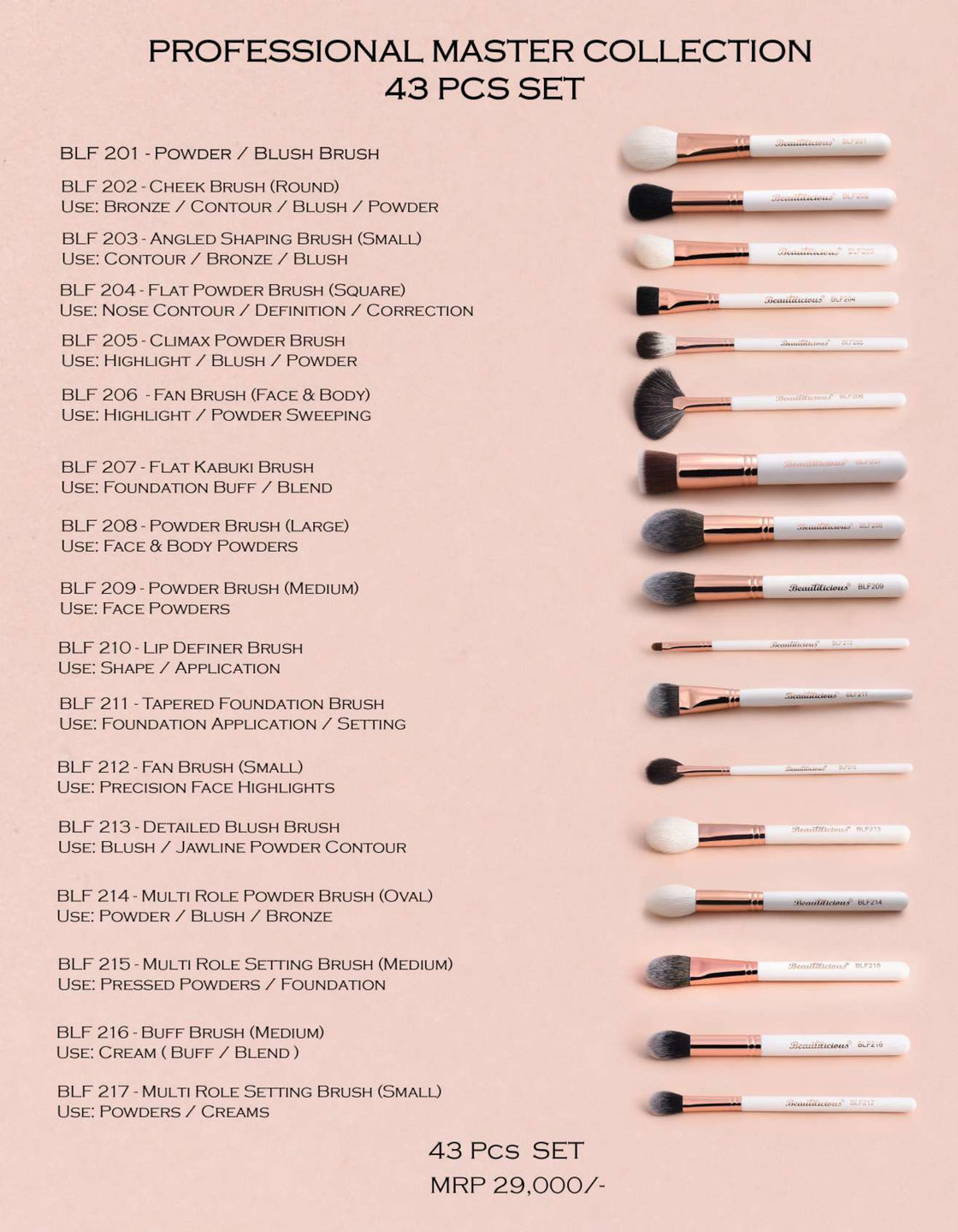 Professional Master Collection (43 PCS SET)
