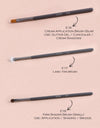 Muses Collection Brush Kit (31 Pcs)