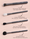 Muses Collection Brush Kit (31 Pcs)